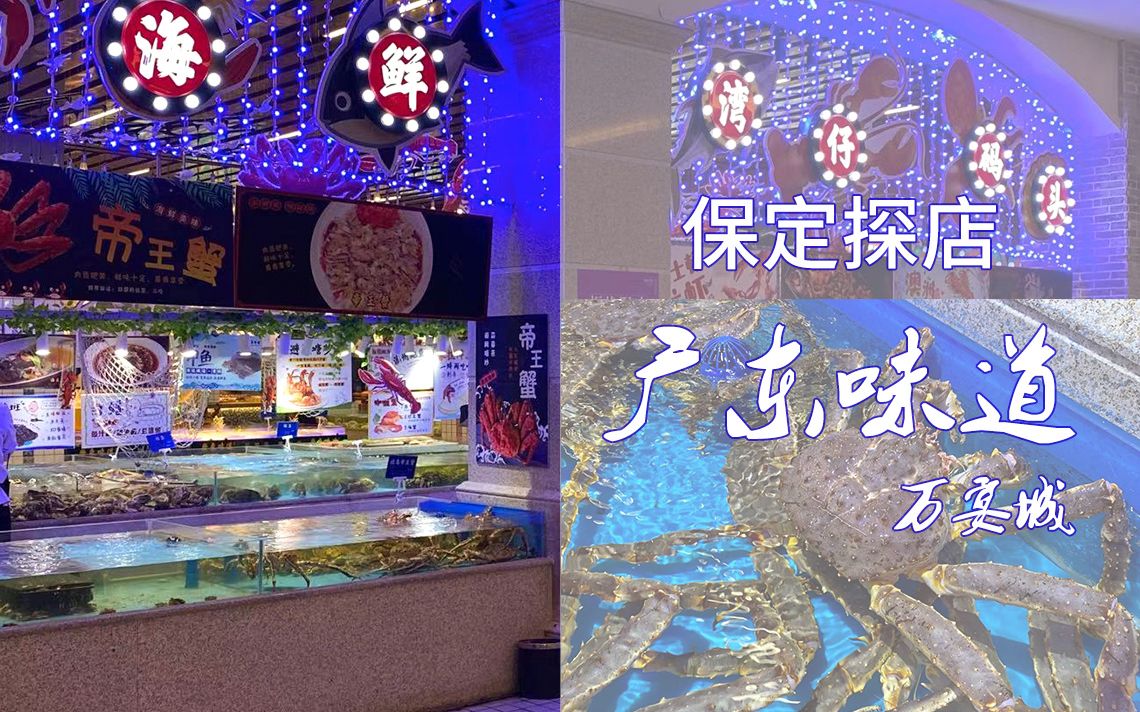 今日保定探店广东味道万宴城