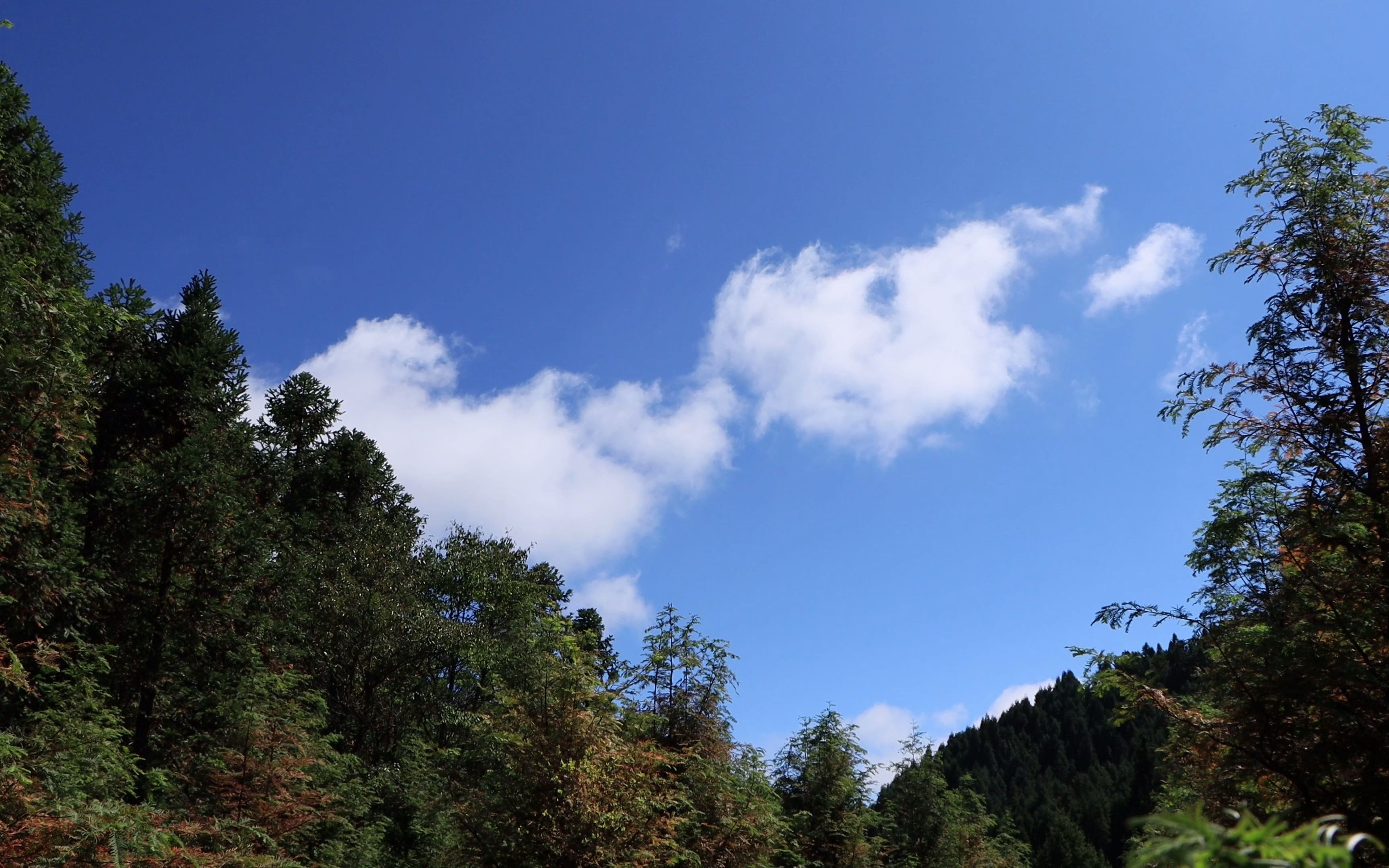 佳能90d拍摄视频试水流云