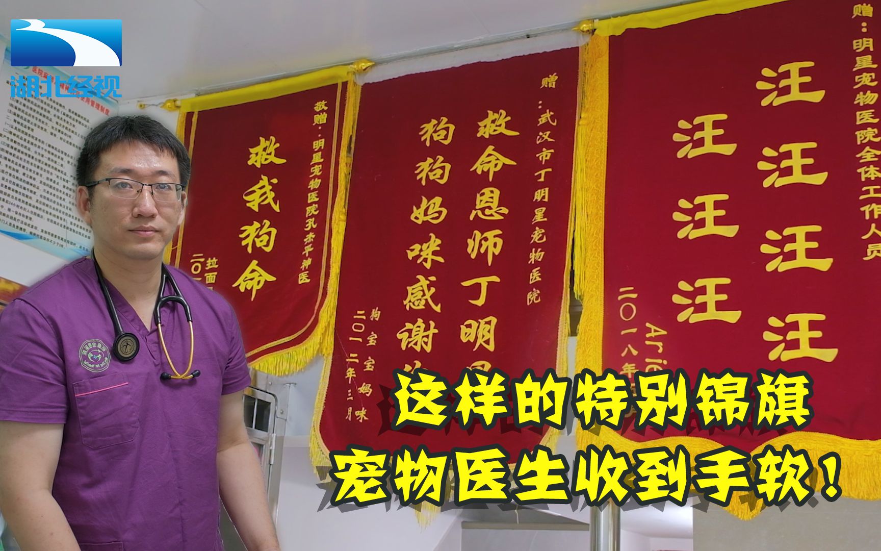 救我狗命汪汪汪这样的特别锦旗宠物医生收到手软