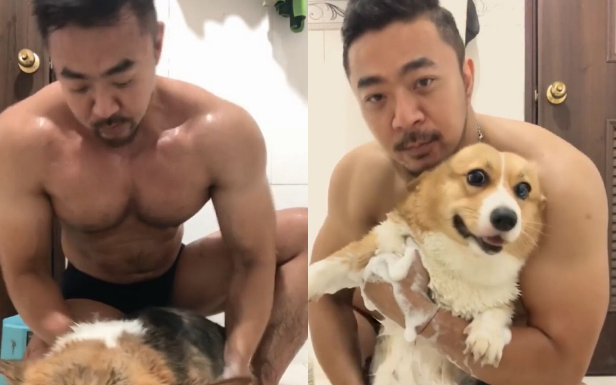 爱狗的肌肉男是如何给狗狗洗澡的