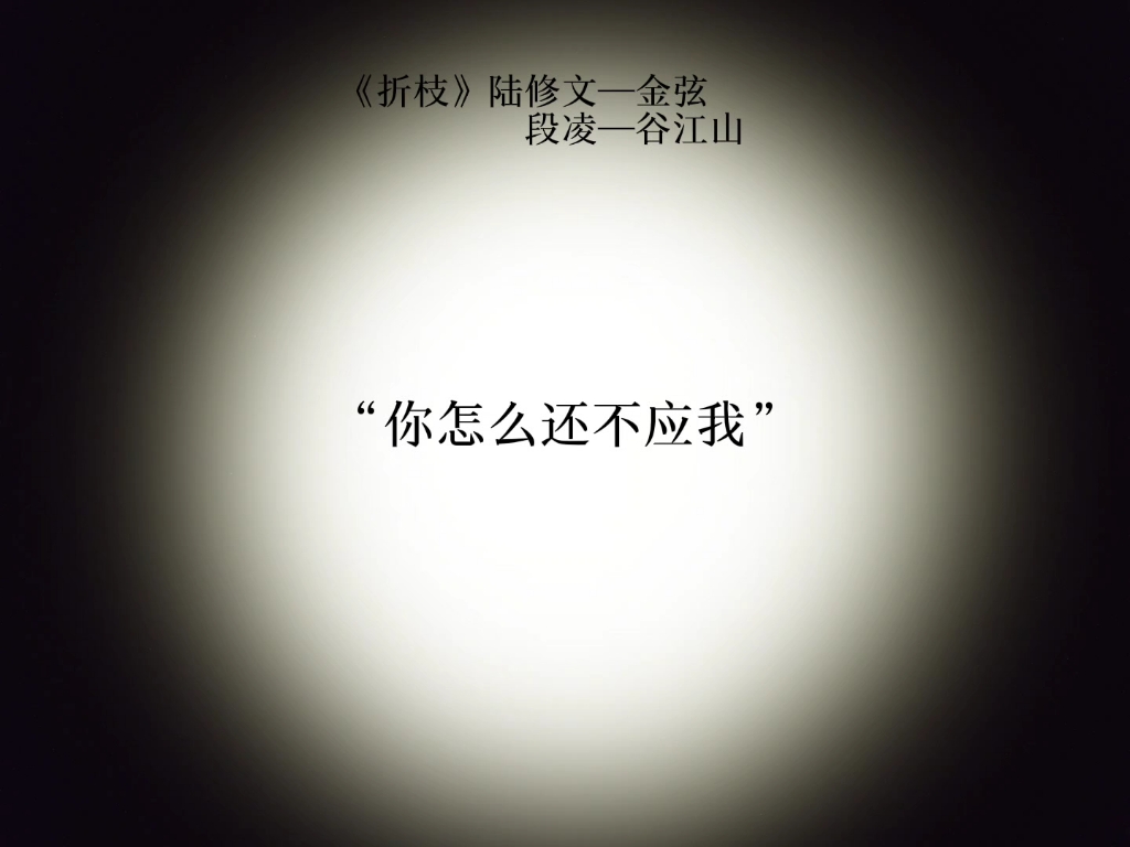 “这一日,可太短了”“这一日,怎么这样短”《折枝》片段,陆修文死在了最热闹的除夕.以乐景衬哀情.哔哩哔哩bilibili