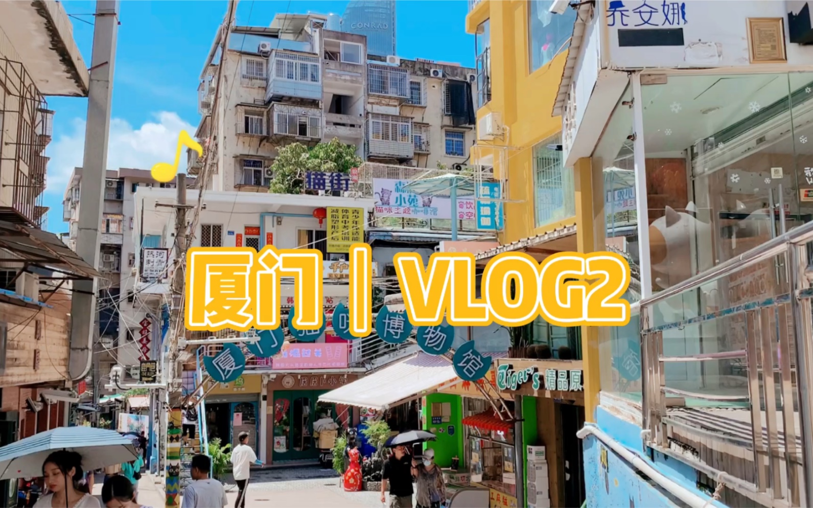 [图]厦门VLOG2｜厦门猫咪博物馆