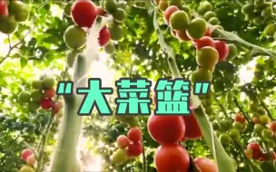 Download Video: 北京新添大菜篮！这座30万平方米的“大玻璃房”即将开园