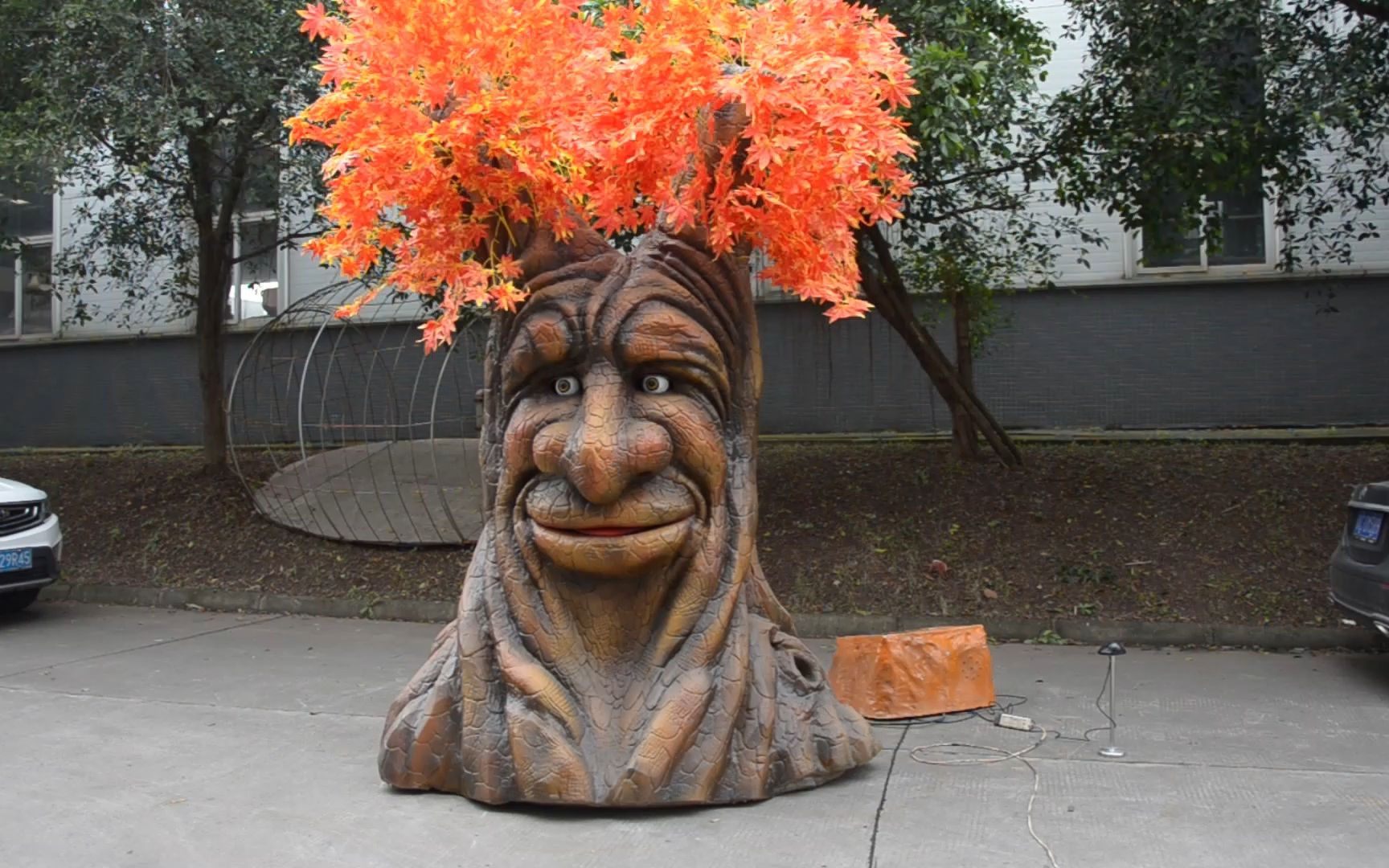 你见过会说话的树吗?