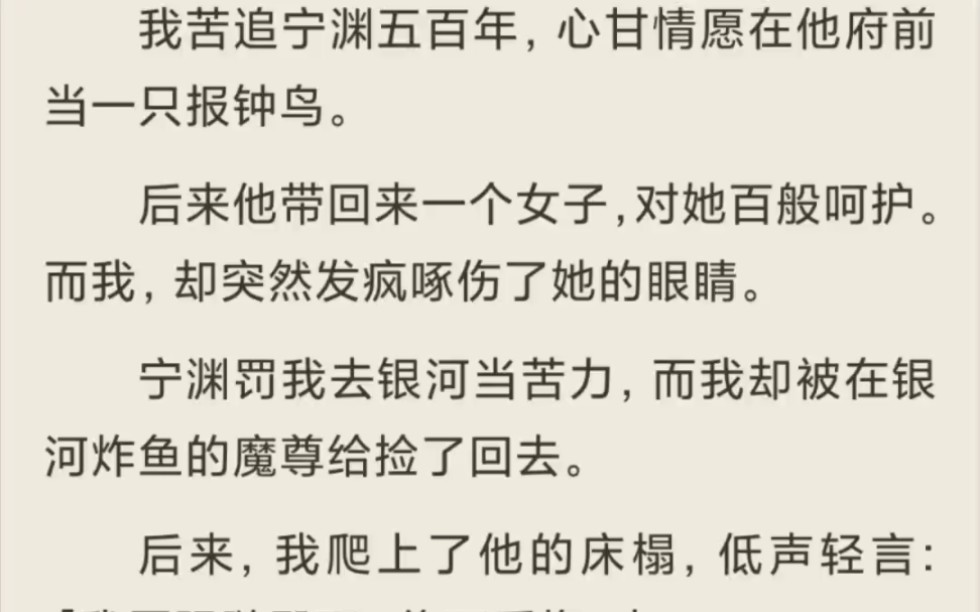 (全)我苦追宁渊五百年,心甘情愿在他府前当一只报钟鸟.哔哩哔哩bilibili