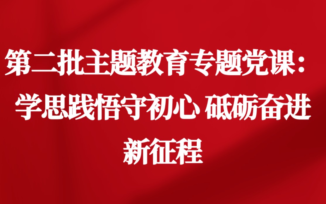 第二批主题教育专题党课:学思践悟守初心 砥砺奋进新征程哔哩哔哩bilibili