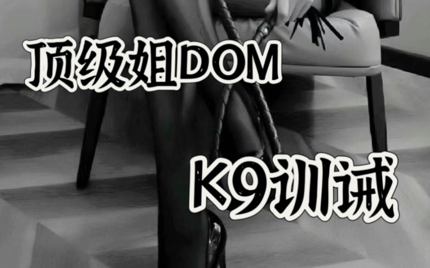 [图]【Dom/白清焰】顶 级 K 9 盛 宴