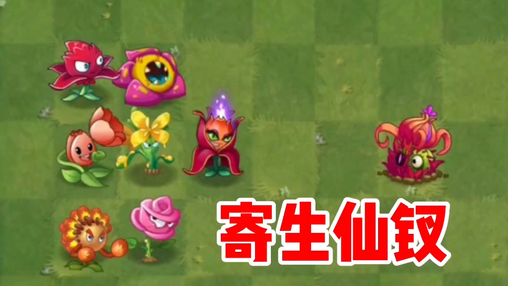 植物大战僵尸:新植物寄生仙钗来了,她会加入哪个家族呢?