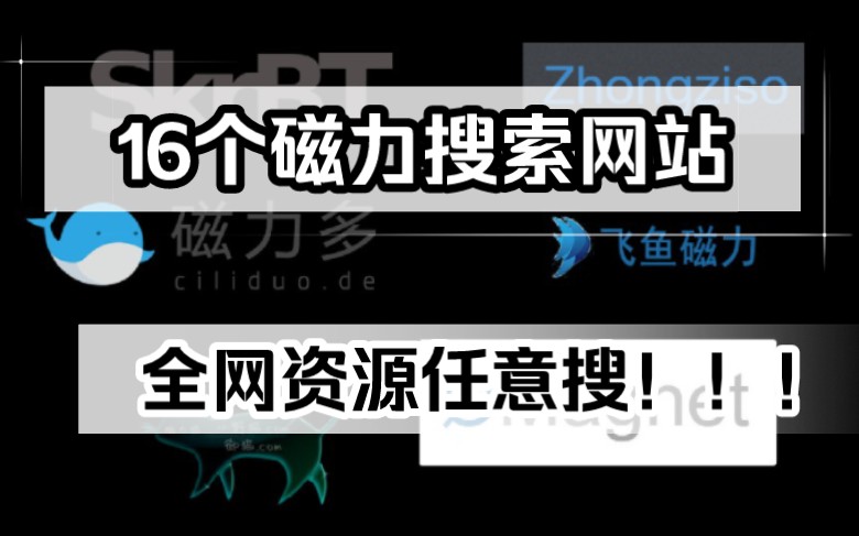 [图]2023最新 十六个磁力搜索网站分享，全网资源任意搜！！！