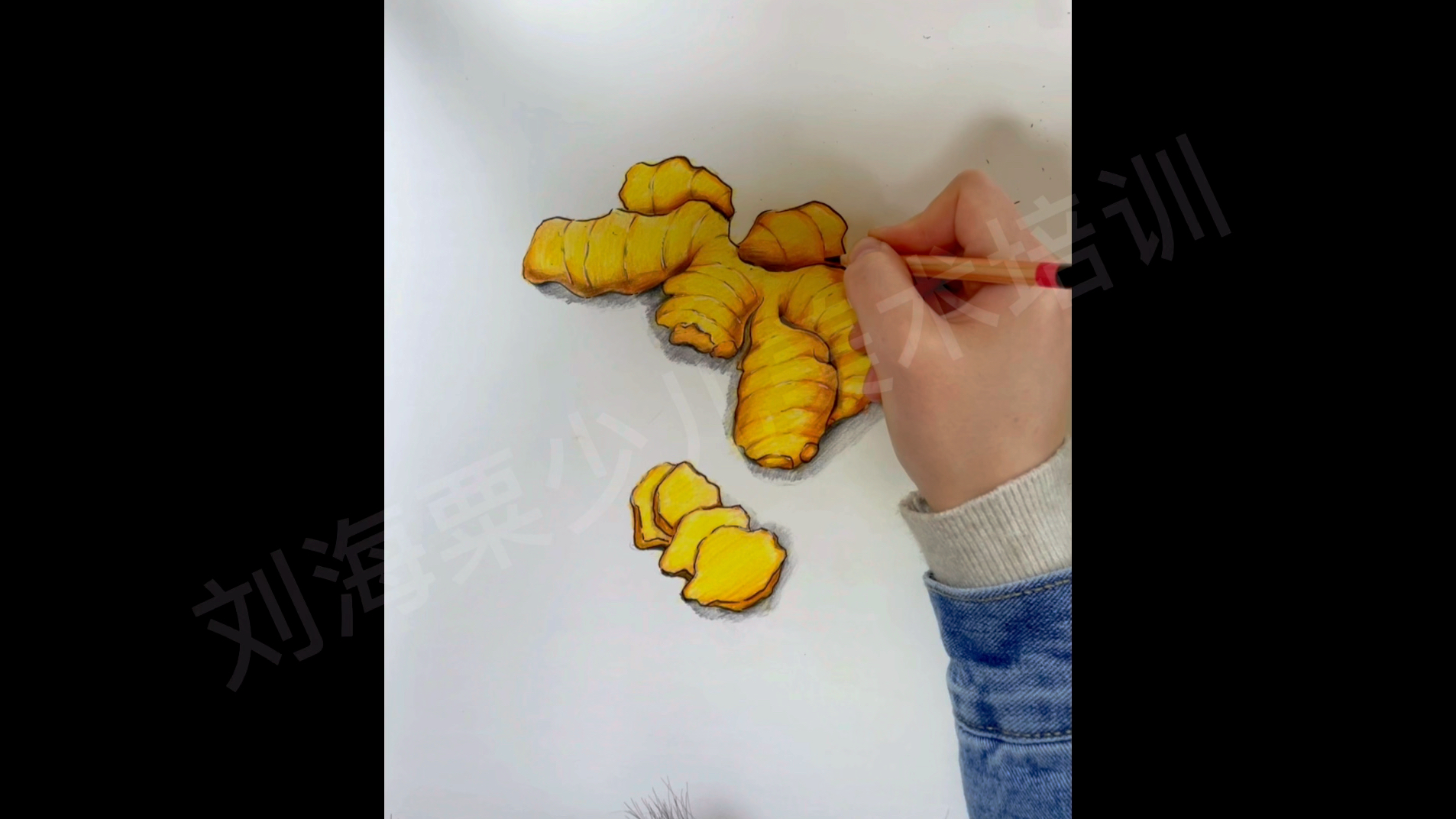 彩铅——生姜