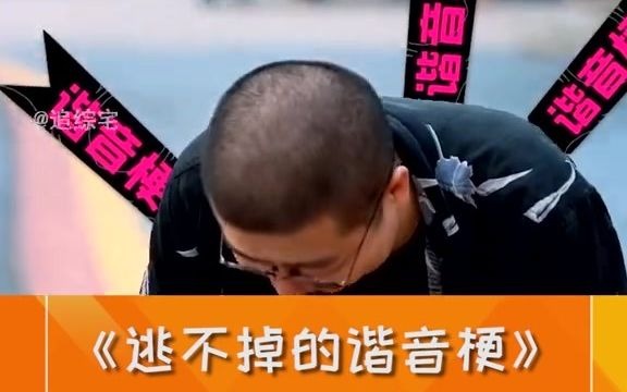 李诞我真的是受够了谐音梗