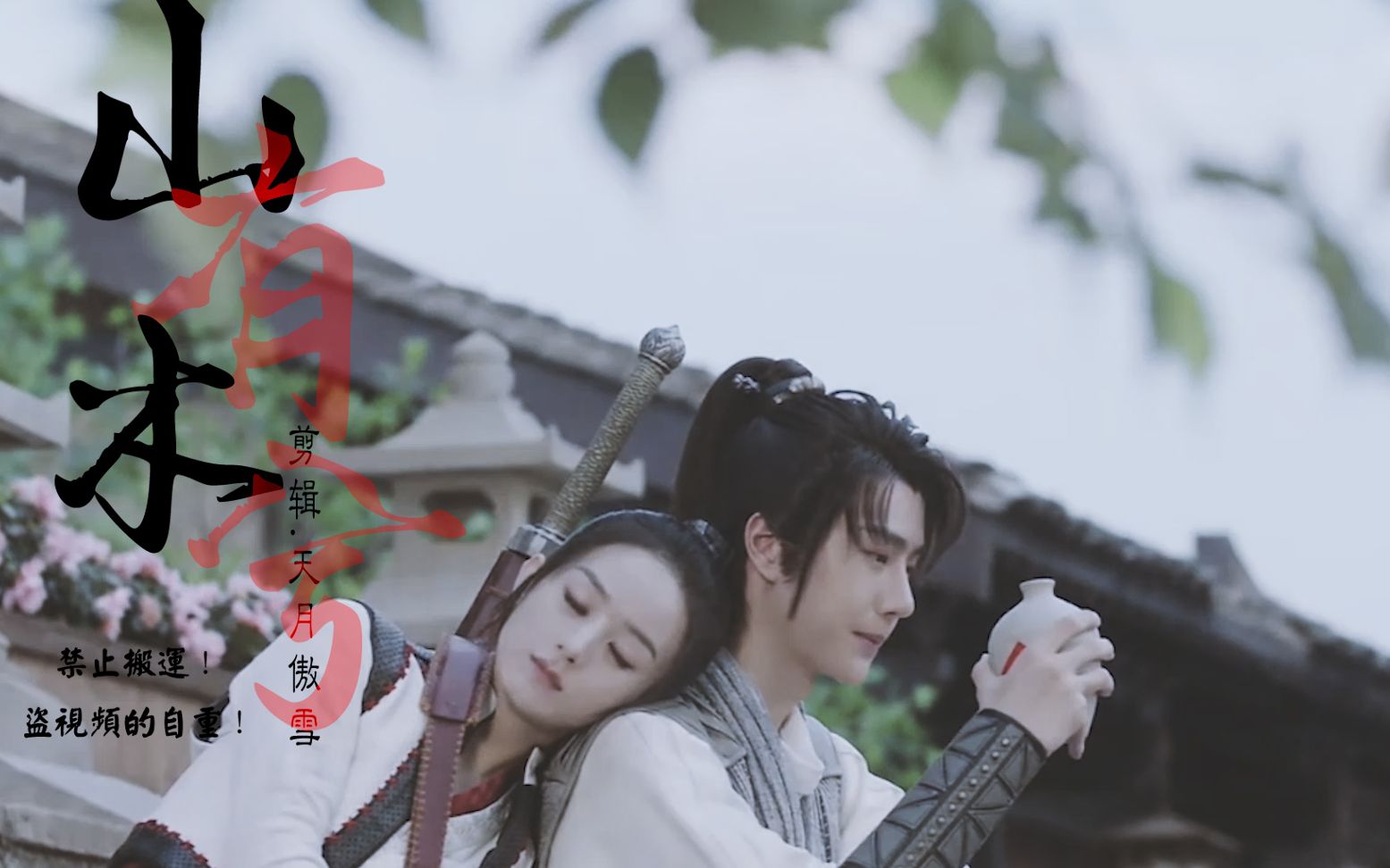 有翡赵丽颖王一博允翡夫妇心动版预告山有木兮他的眼里心里都是你混剪