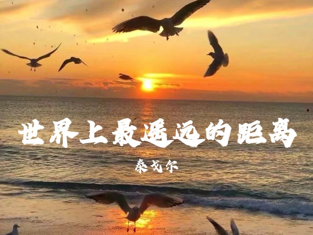 001:《世界上最遥远的距离》