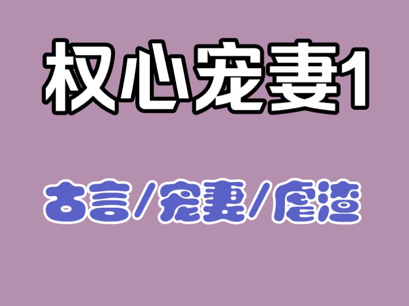 【权心宠妻1】男主重生+宠妻+虐渣+男主有嘴+古言+双强+权谋哔哩哔哩bilibili