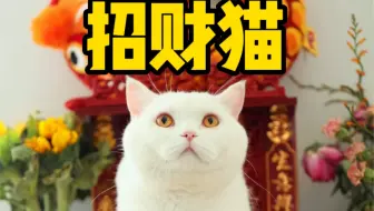 你是想变成招财猫吗？