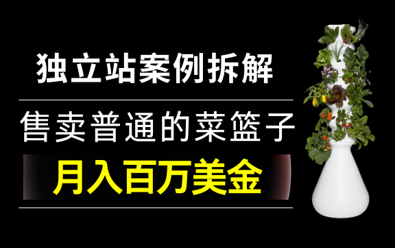 售卖普通的菜篮子是如何月入百万美金的? | 跨境电商Shopify独立站案例拆解哔哩哔哩bilibili