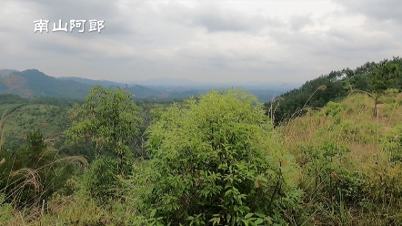 [图]感叹人世之间聚散依依，落花流水春已去