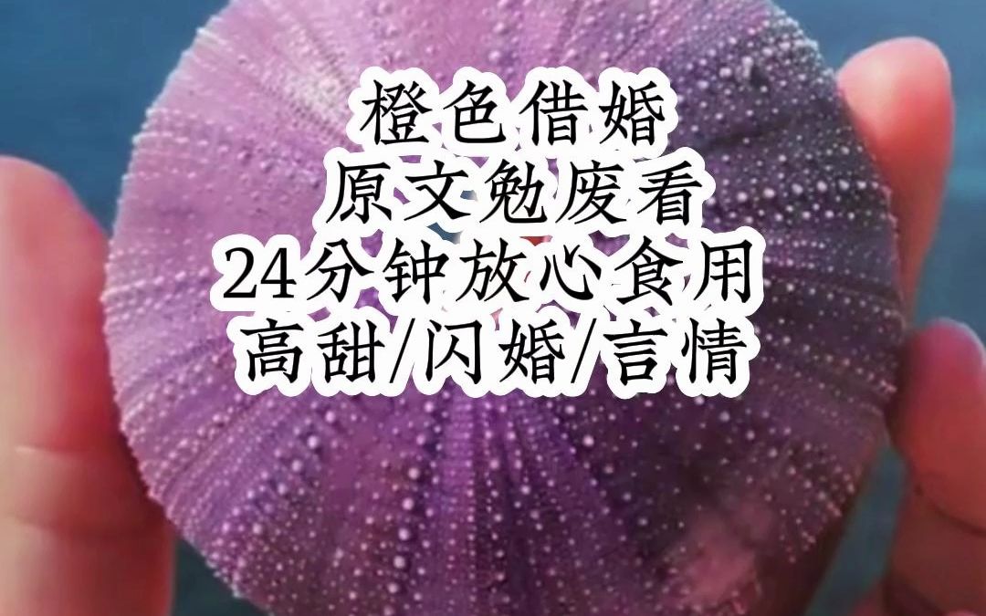 收拾婚房时,我无意打碎了他前任送的杯子,我犹豫片刻对着碎裂的瓷片拍了张张照片,发给了未婚夫.........哔哩哔哩bilibili