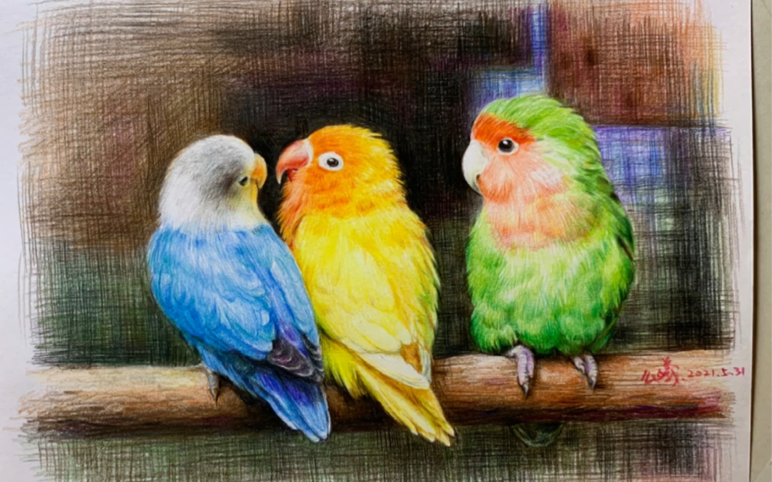 彩铅 三只鹦鹉的手绘步骤