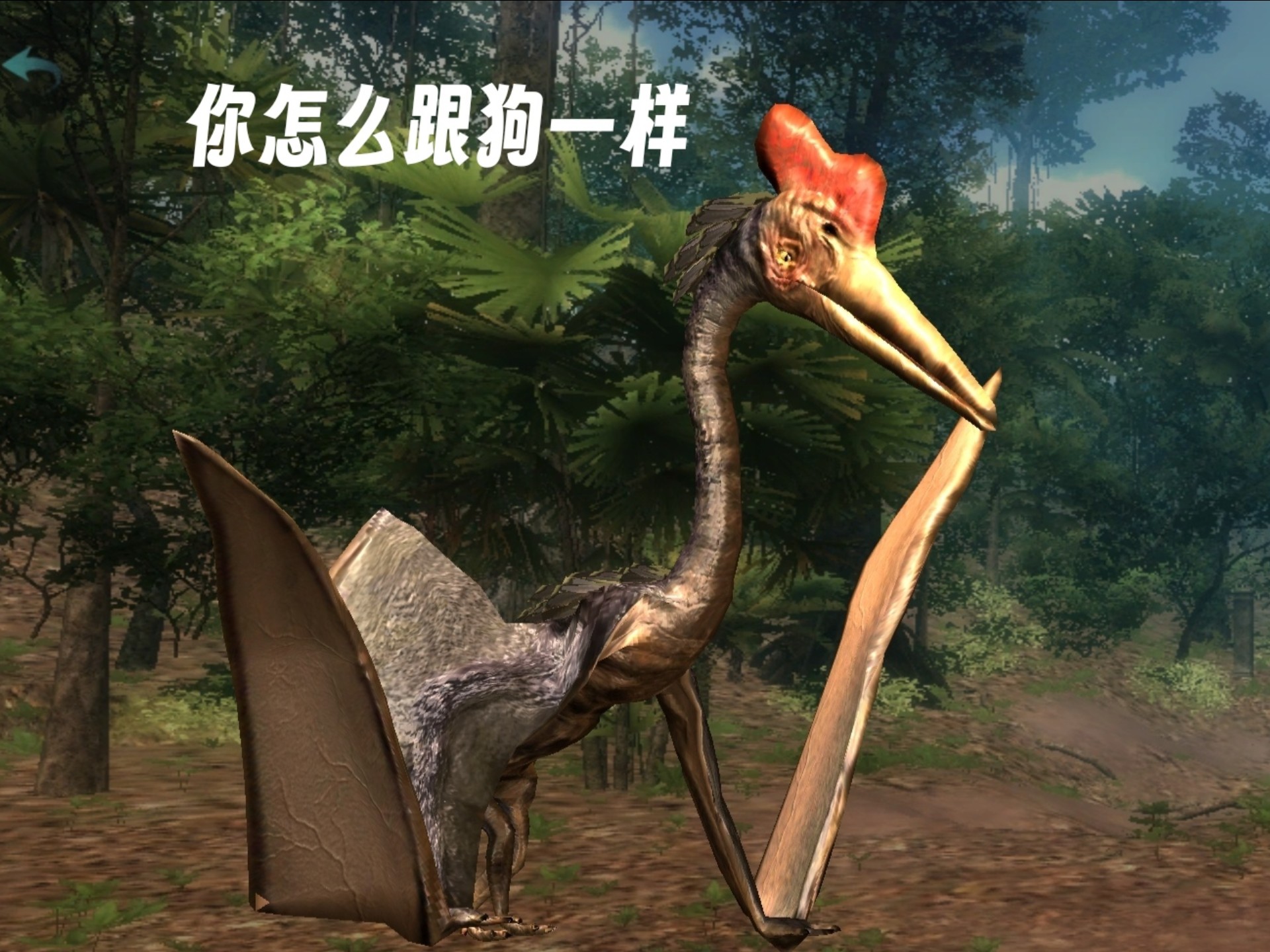 母翼龙模拟器
