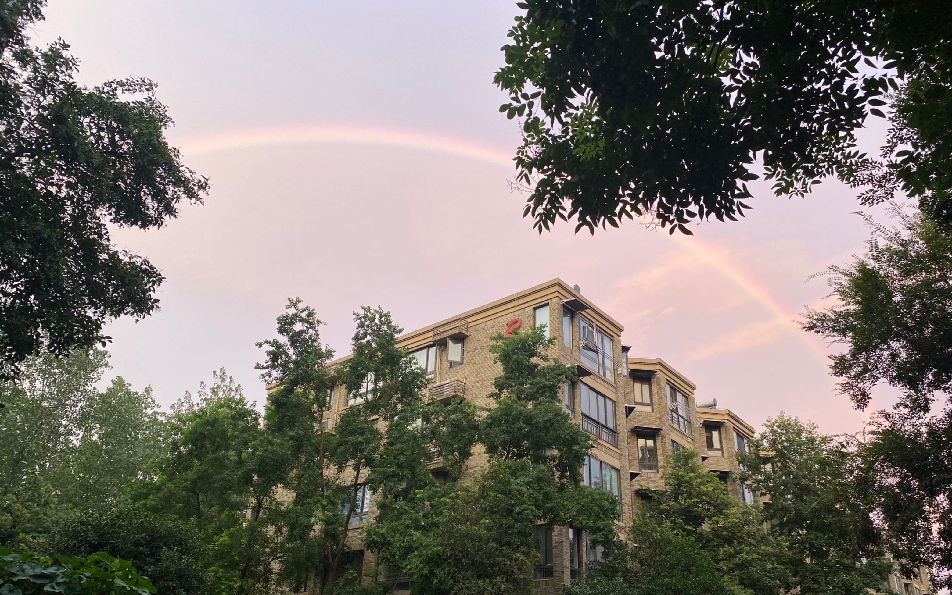 8.20南京偶遇彩虹,一切都在好起来(^m^)