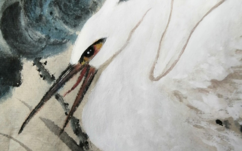 国画荷花池白鹭