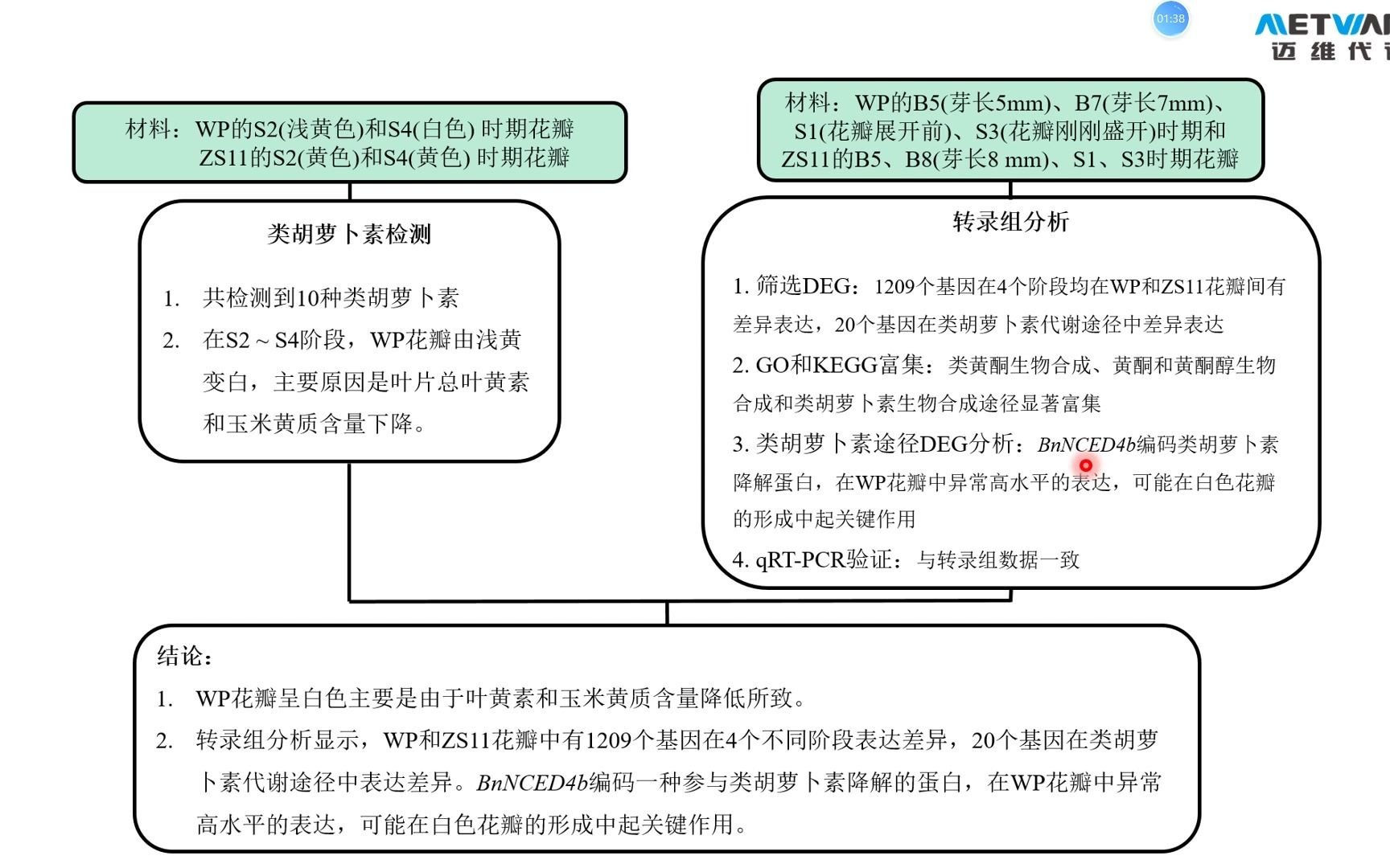 【项目文章】转录组和代谢组分析类胡萝卜素生物合成途径揭示了甘蓝型油菜花瓣白色的机制——迈维代谢哔哩哔哩bilibili