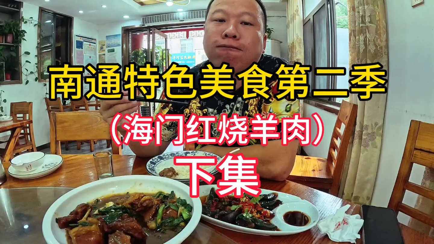 阳仔自驾穷游江苏省南通市,特色美食第二季,红烧海门羊肉,下集