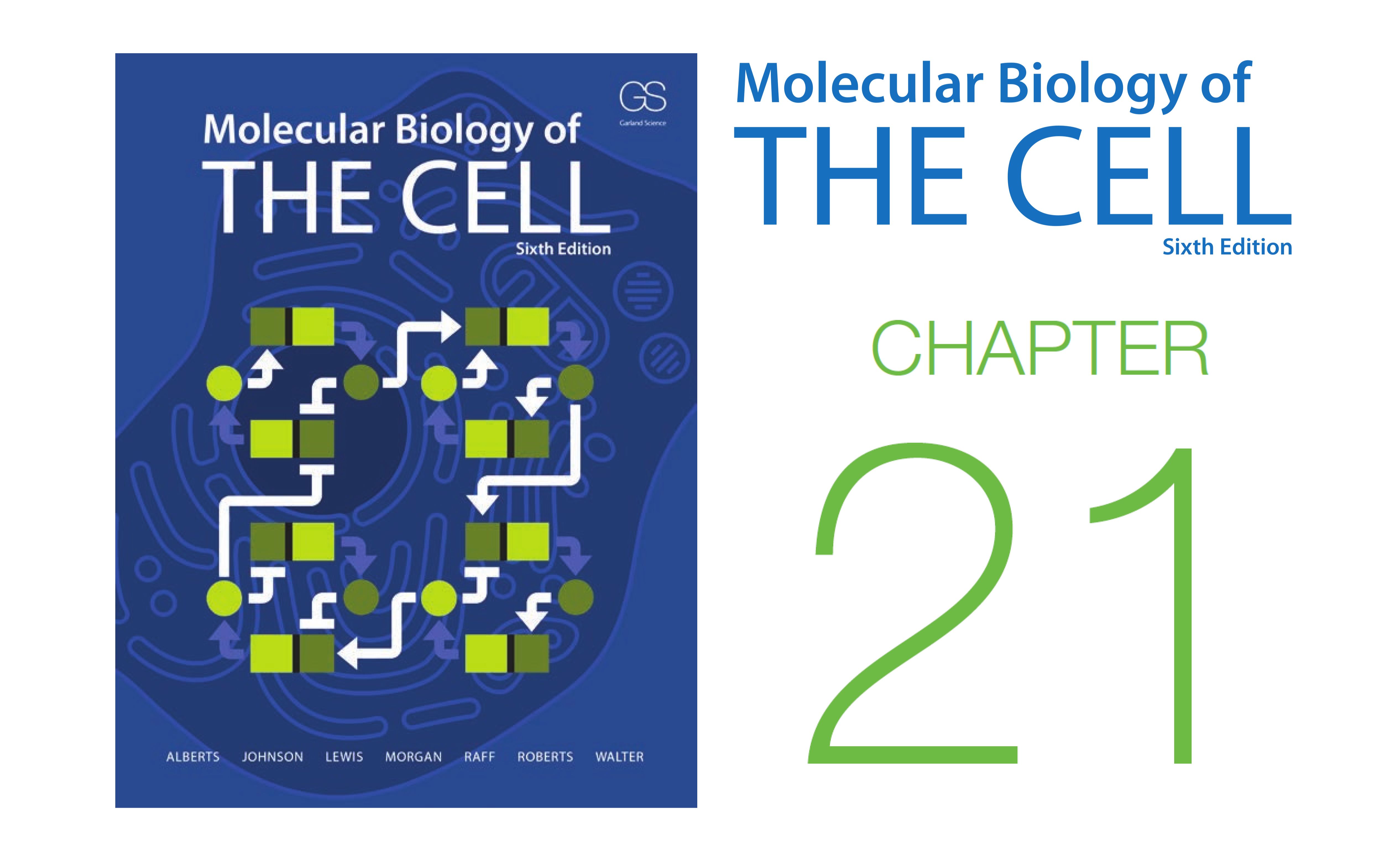 《细胞的分子生物学》第21章 多细胞生物的发育 配套视频(字幕重制版)哔哩哔哩bilibili