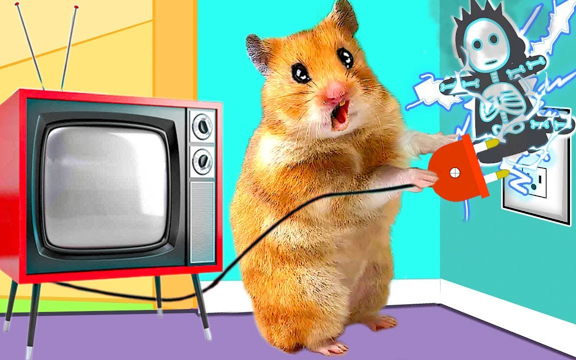 【仓鼠大闯关】用电过猛 把电视弄坏了 去买个电视吧_哔哩哔哩_bili