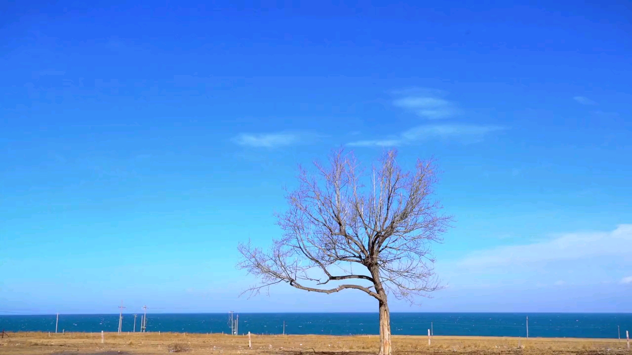 [图]他在青海湖边孤寂的站着，偶尔听些闲言，面对川流不息的车流人群，他想起了从前，山峦重叠，幽谷兰香。几经辗转，几经彻骨的痛生命在一道道伤疤上长出嫩芽