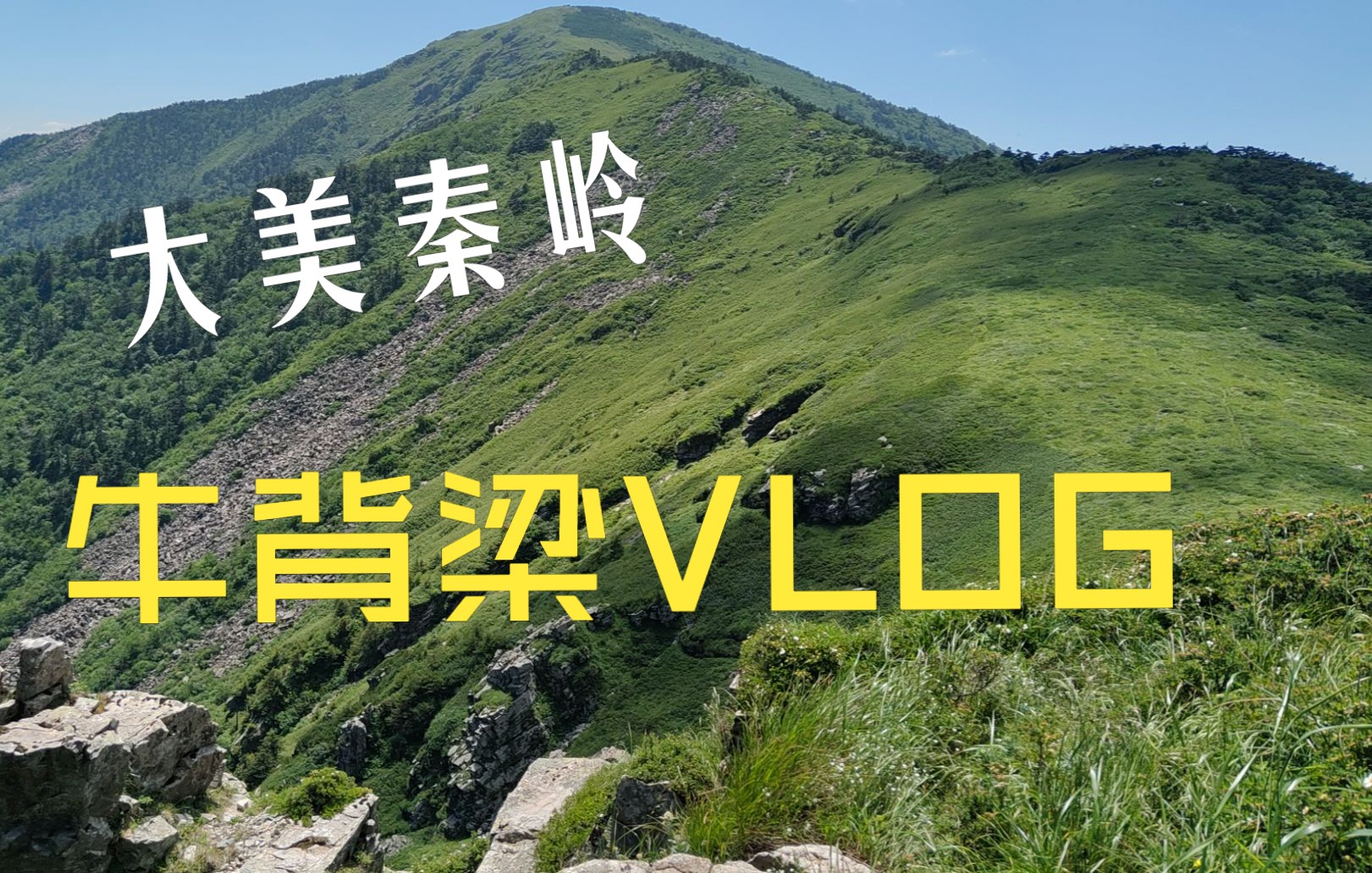 【第一视角游记】大美秦岭,牛背梁风光游记VLOG哔哩哔哩bilibili