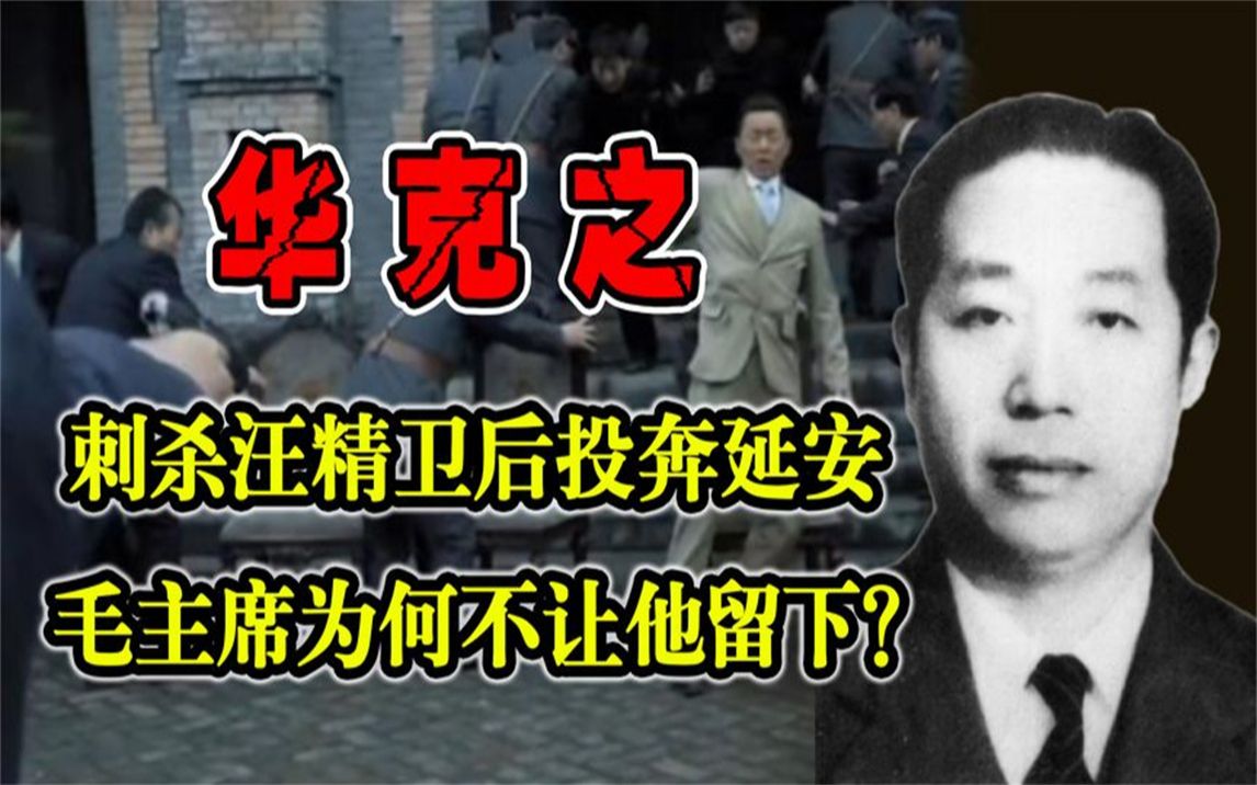 华克之刺杀汪精卫,被国民党通缉投奔延安,毛主席为何不留下他?哔哩哔哩bilibili