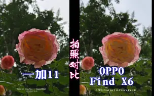 Descargar video: 【拍照对比】一加11 VS. OPPO Find X6,哈苏、马里亚纳有没有用？