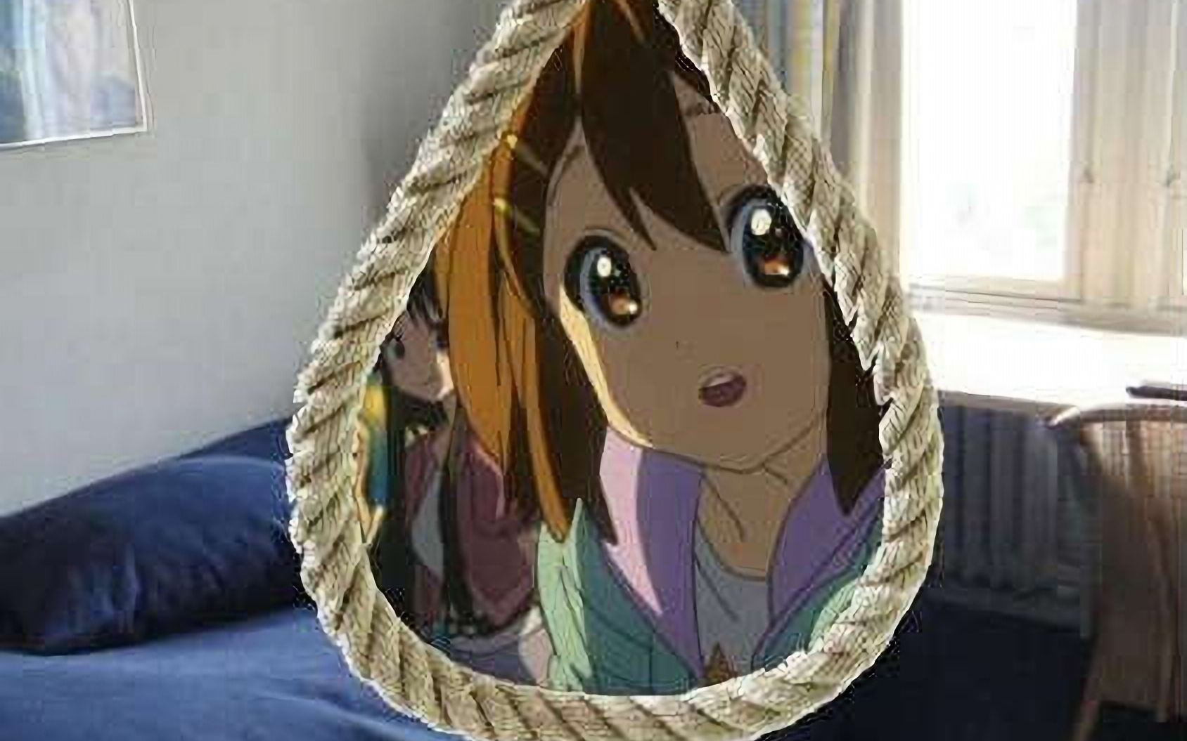 通往二次元的大门