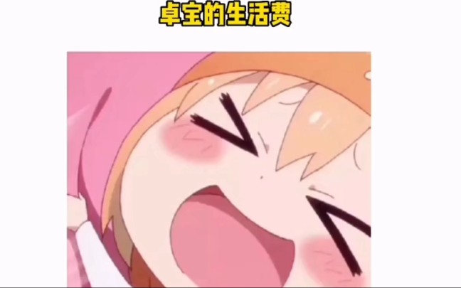 卓宝的生活费哔哩哔哩bilibili