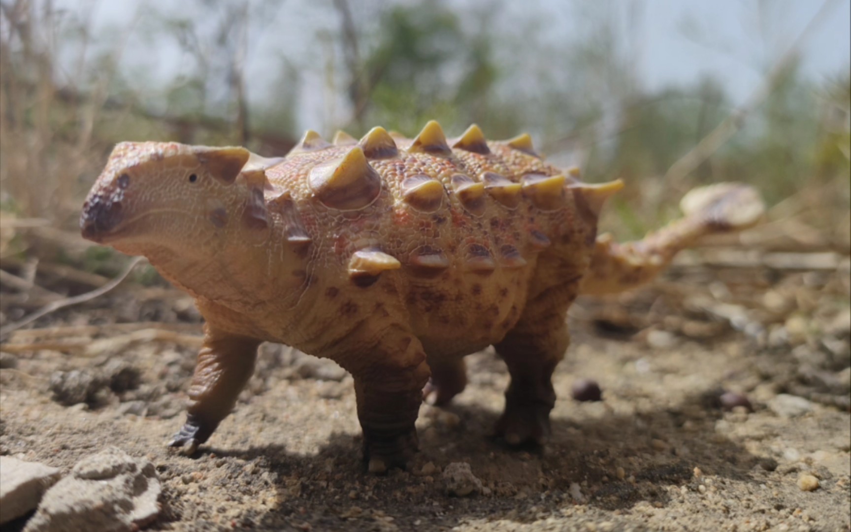 好龙谷天镇甲龙