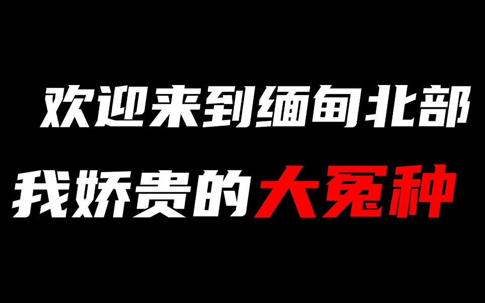 [图]不会还有人去缅甸北部吧？