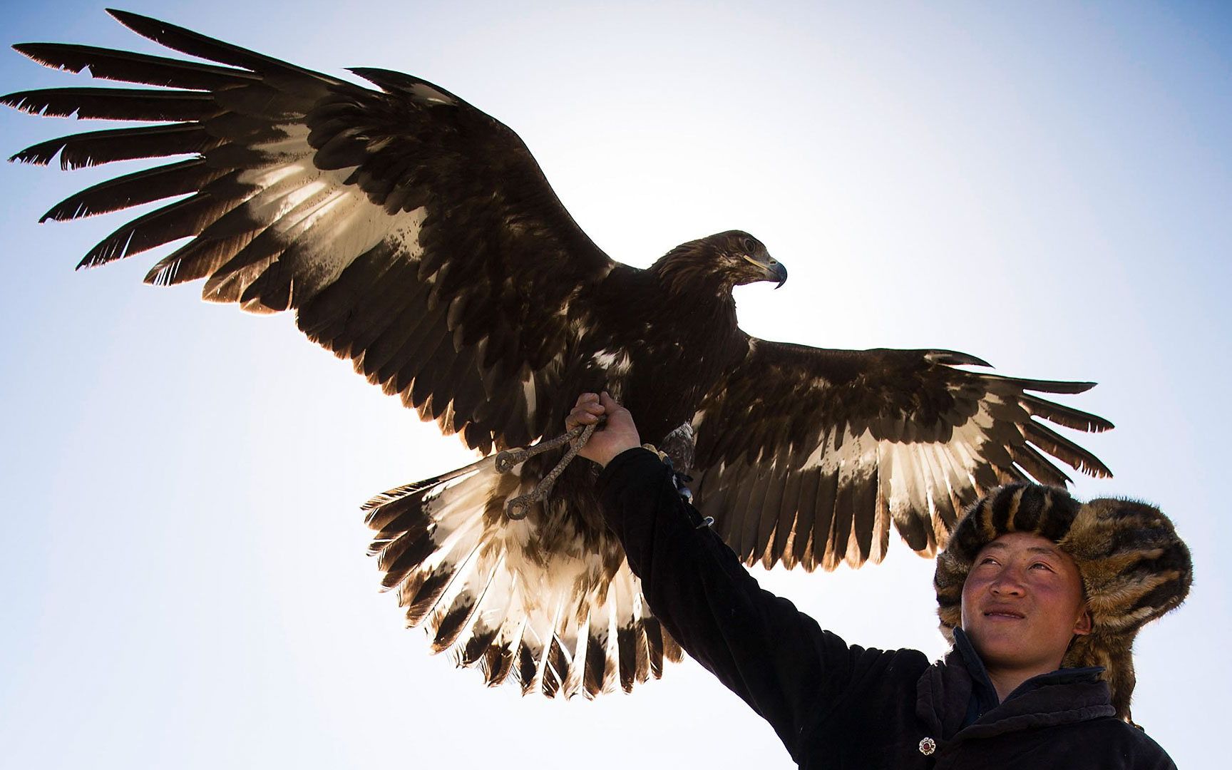 纪录片部落猛兽和我s02e02蒙古金雕2017高清英字