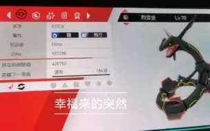 下载视频: 宝可梦剑盾  我会不会是第一个在剑盾拥有它的人！