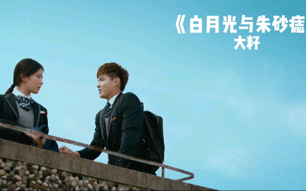 白月光与朱砂痣大籽白月光在照耀你才想起她的好