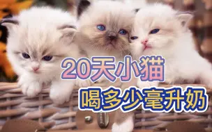 Download Video: 20天小猫喝多少毫升奶