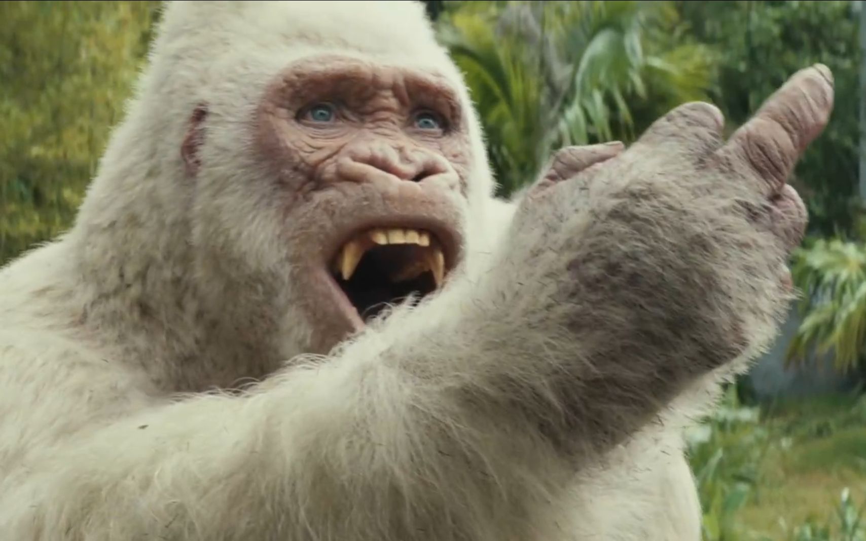 媲美金刚的一部电影,到底是主人公救大猩猩,还是大猩猩救主人公《狂暴