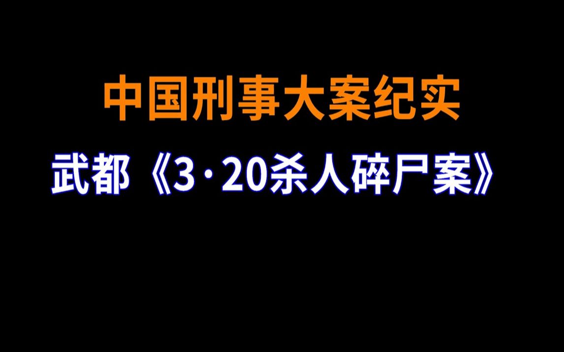 [图]武都《3·20S人碎S案》 | 中国刑事大案纪实 | 刑事案件要案记录