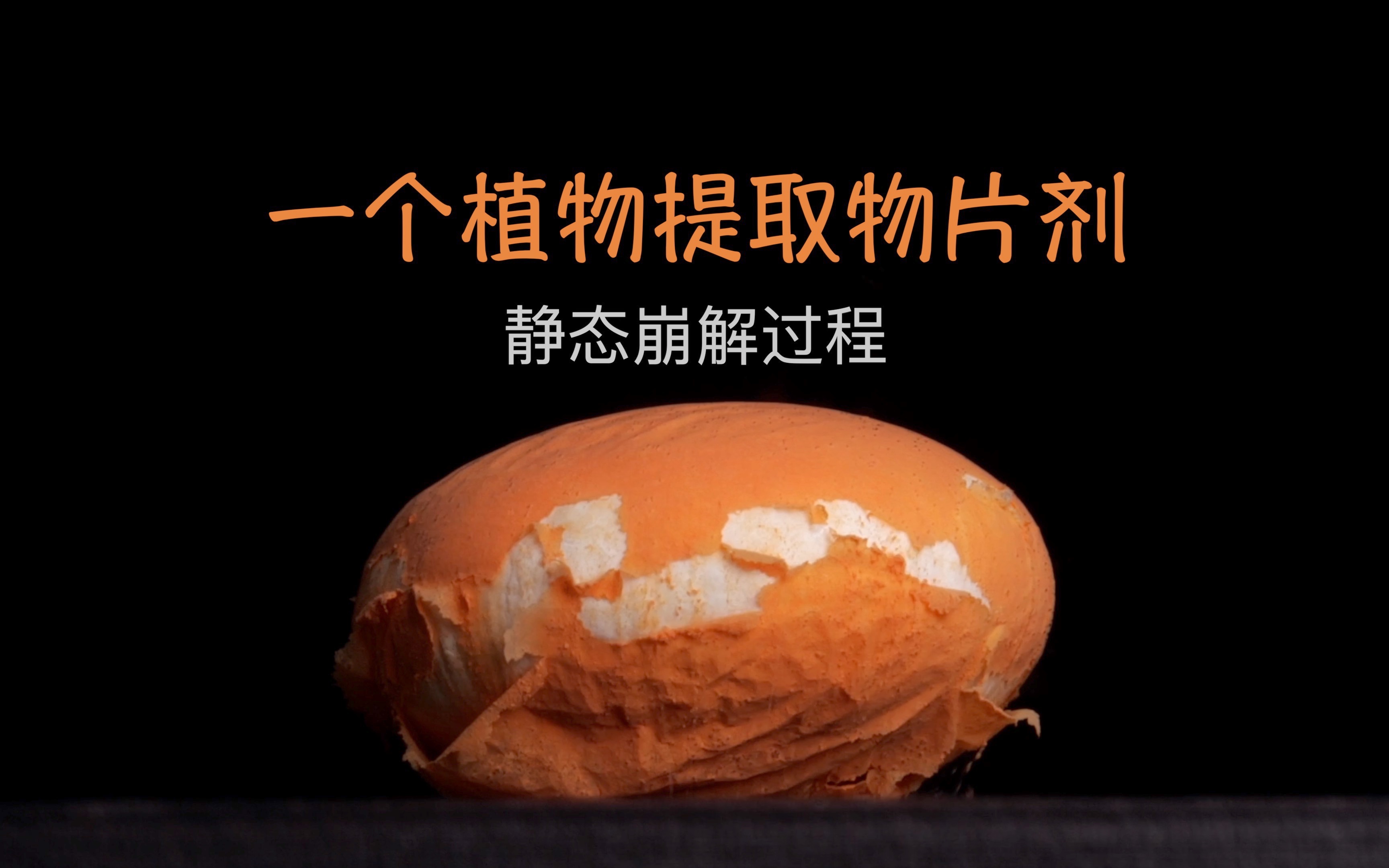 一个植物提取物片剂静态崩解过程