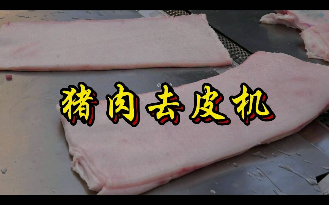 猪肉怎么做到快速分离皮肉?带大家看看我们吃的猪皮是怎样加工的?