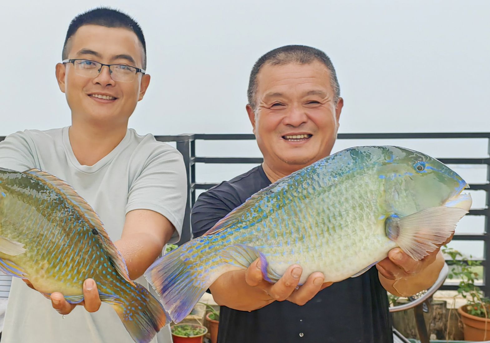 阿胖山出海钓不到鱼还晕船,上市场花600买2条青衣鱼,做酸菜鱼吃哔哩哔哩bilibili