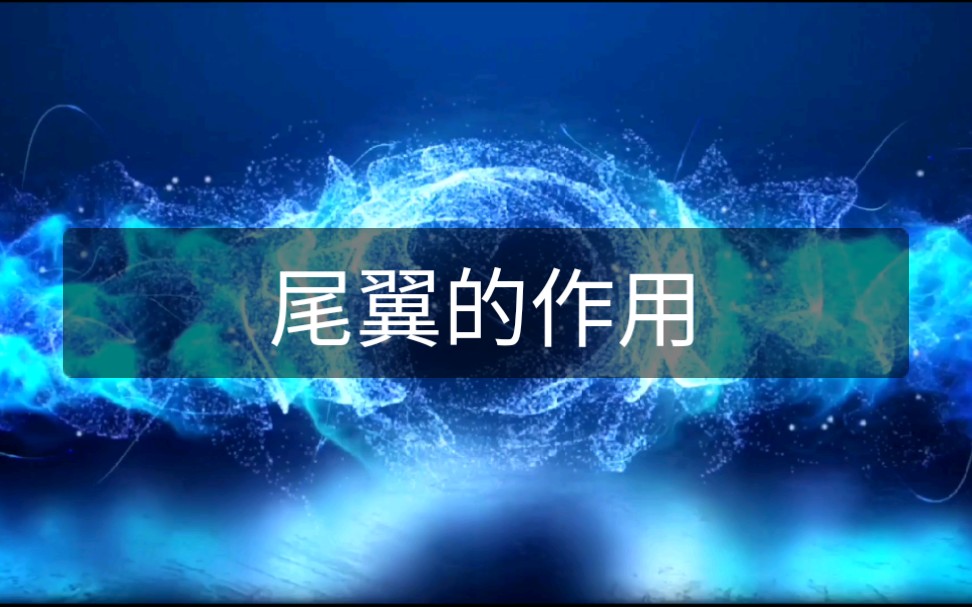 尾翼的作用哔哩哔哩bilibili