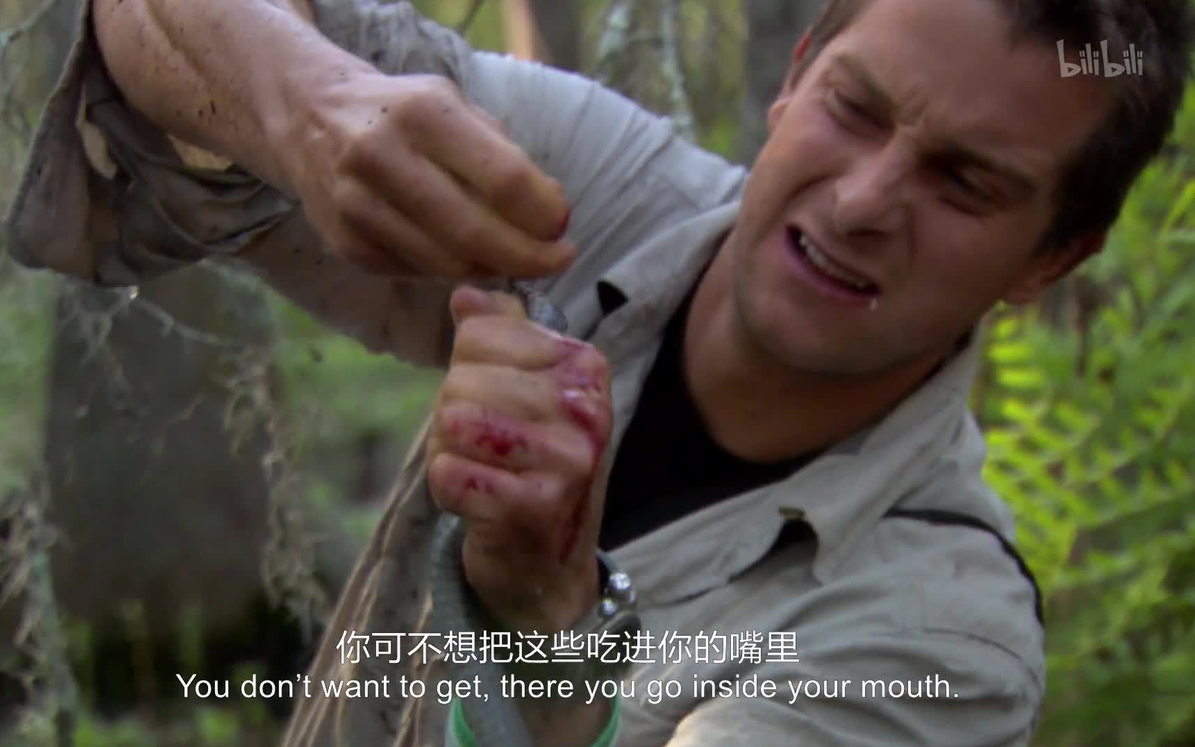 荒野求生第三季第3集南方腹地