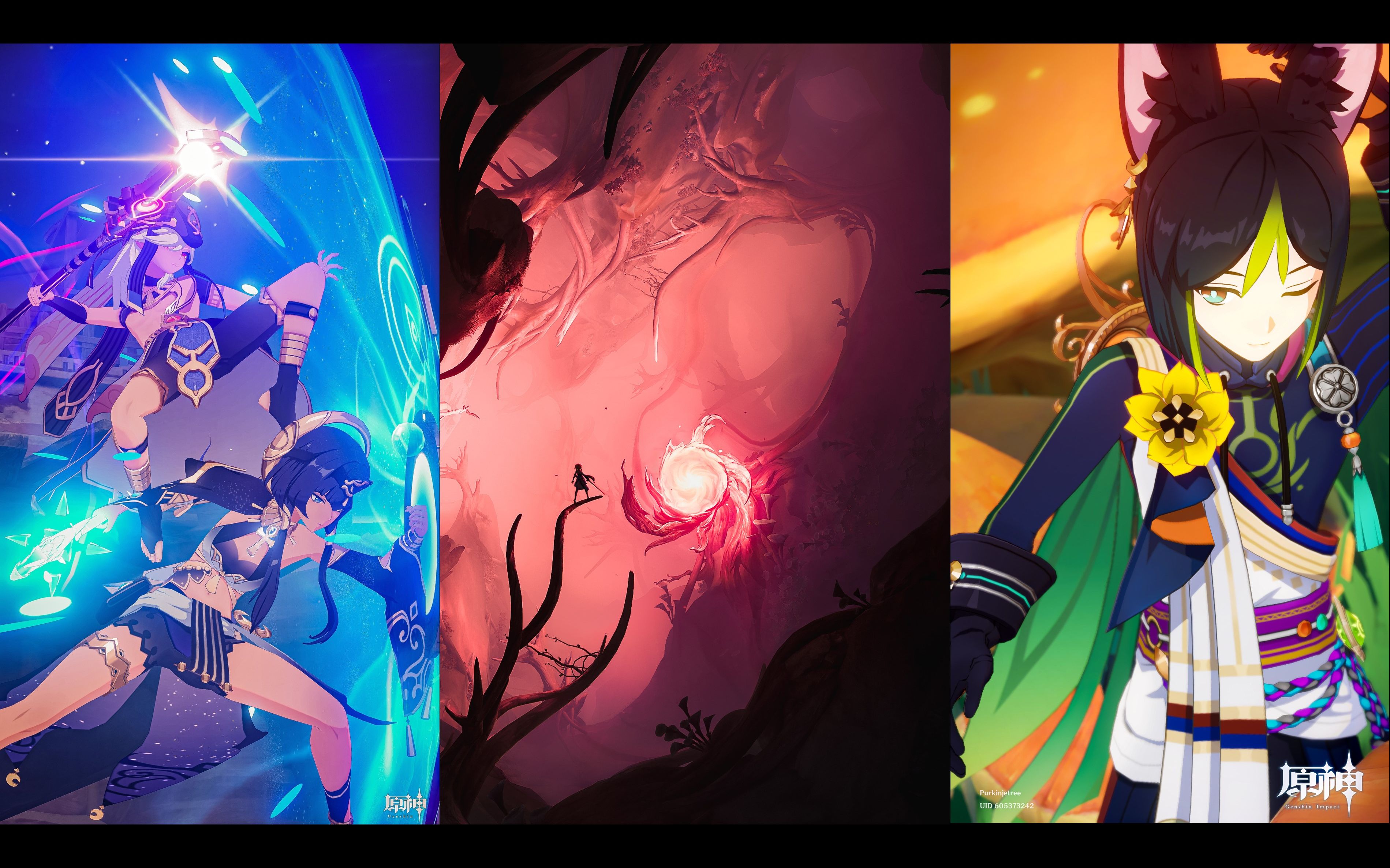 【原神】摄 影 大 赛 (第56期)